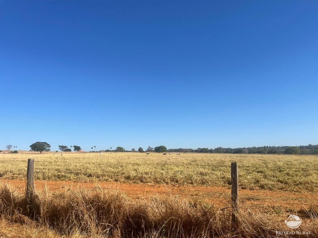 Fazenda à venda com 4 quartos, 40026800m² - Foto 9