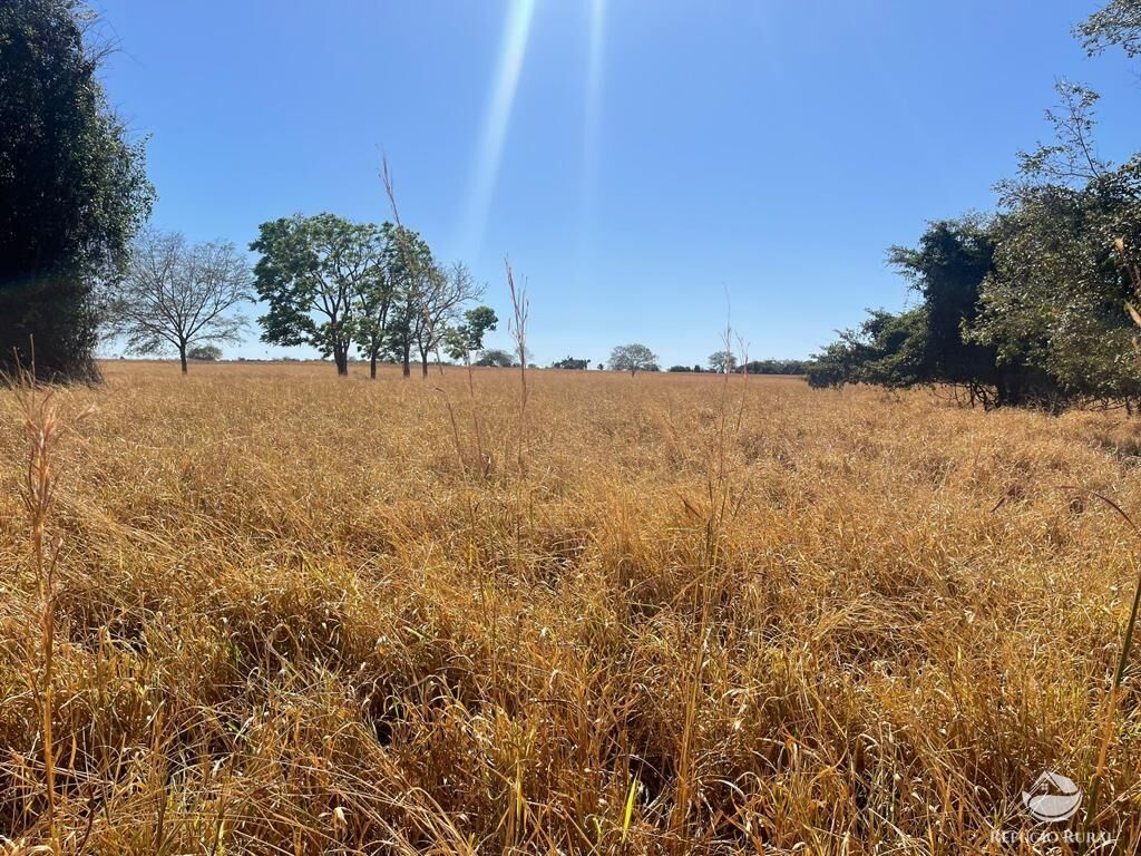 Fazenda à venda com 4 quartos, 40026800m² - Foto 13