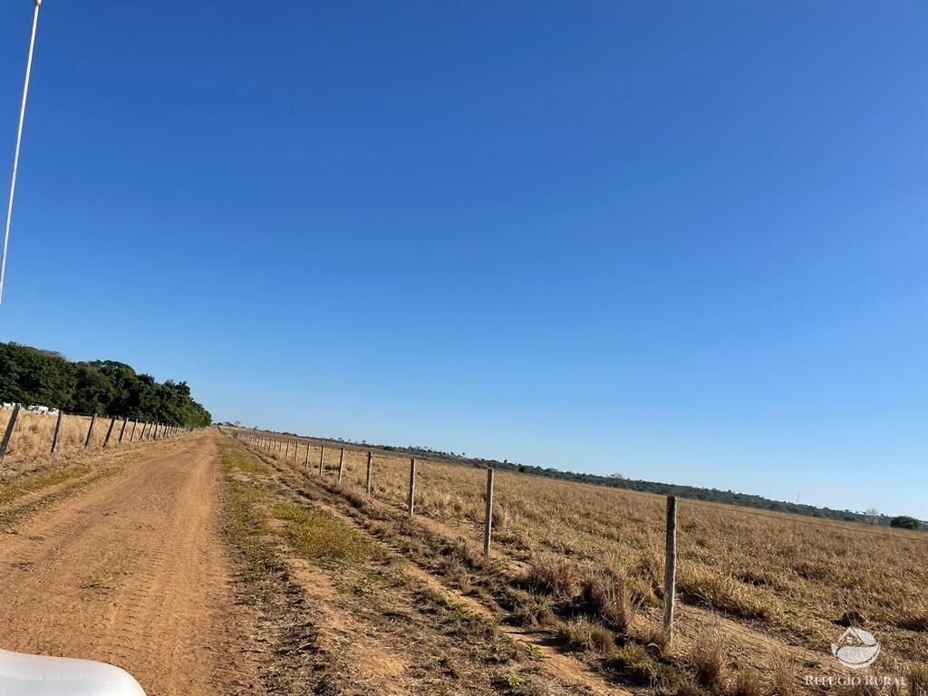 Fazenda à venda com 4 quartos, 40026800m² - Foto 16