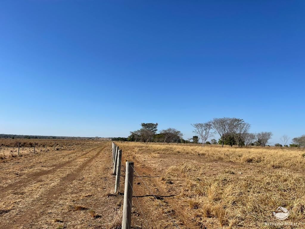 Fazenda à venda com 4 quartos, 40026800m² - Foto 15