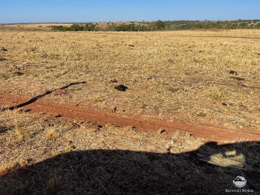 Fazenda à venda com 4 quartos, 40026800m² - Foto 7