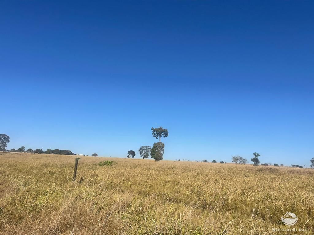 Fazenda à venda com 4 quartos, 40026800m² - Foto 11