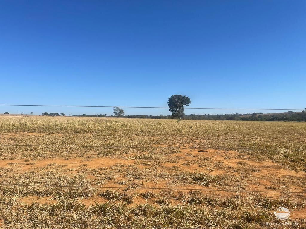 Fazenda à venda com 4 quartos, 40026800m² - Foto 10