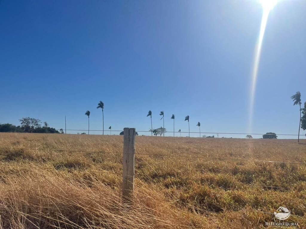 Fazenda à venda com 4 quartos, 40026800m² - Foto 8