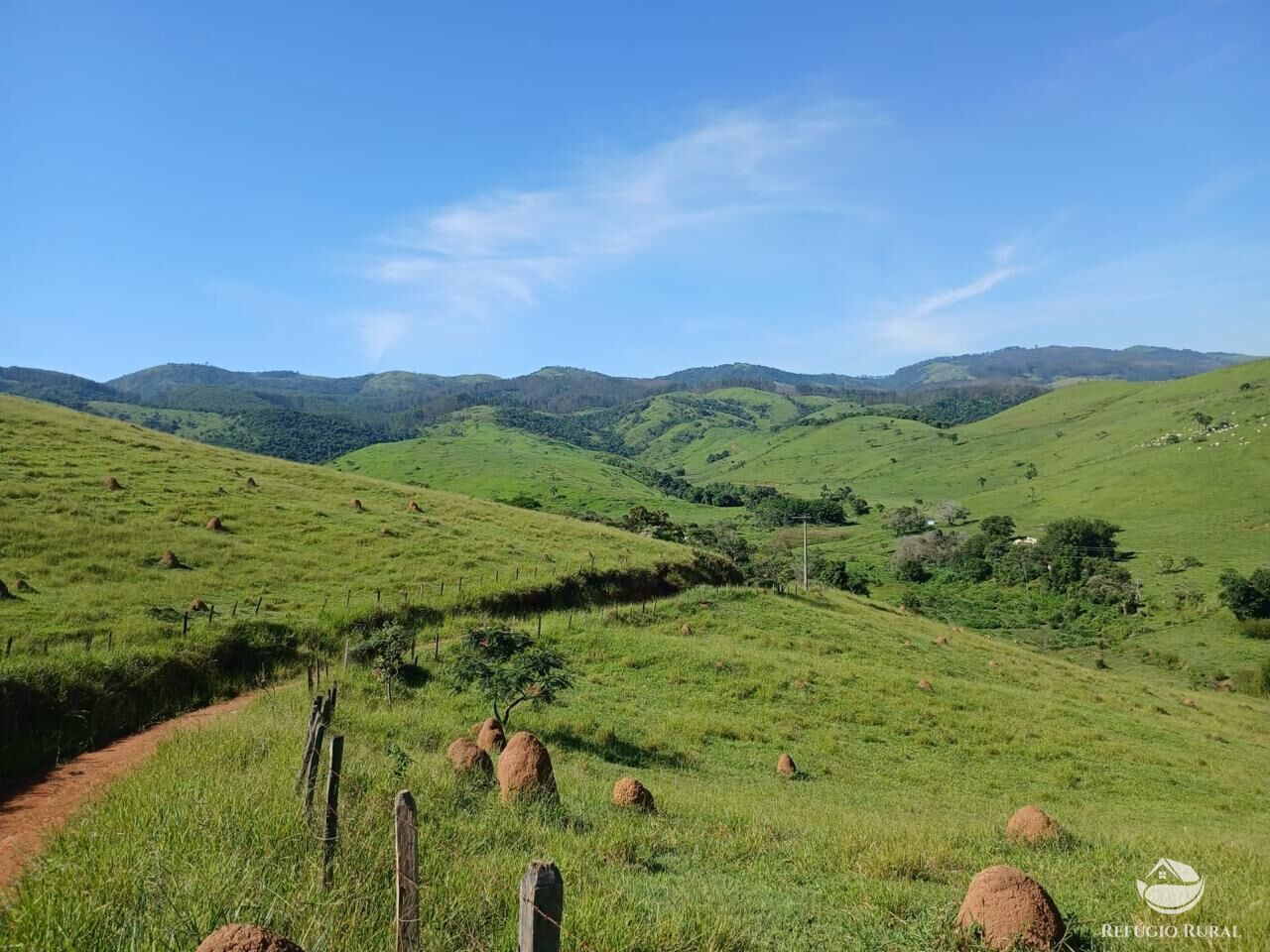 Fazenda, 435 hectares - Foto 23