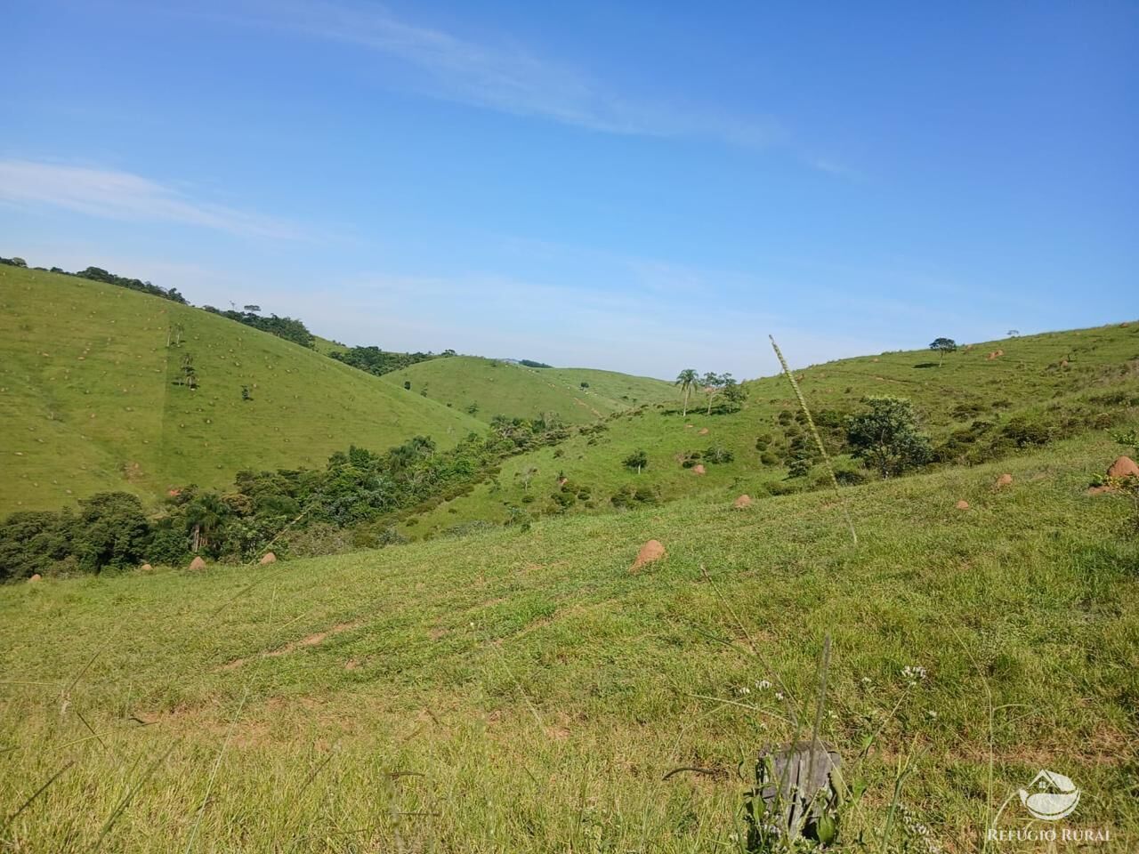 Fazenda, 435 hectares - Foto 19