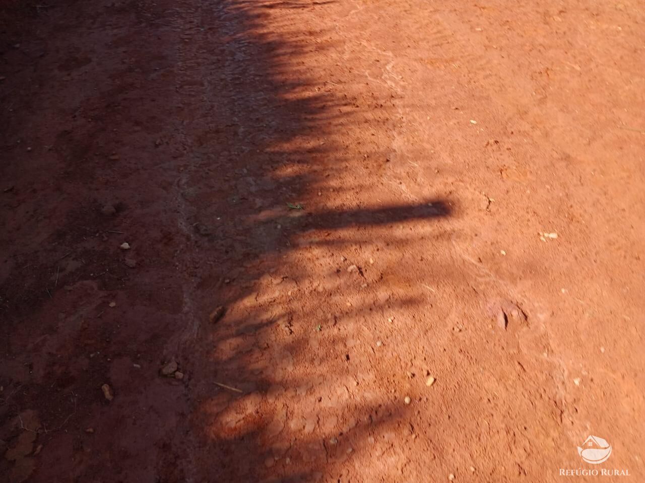 Fazenda, 435 hectares - Foto 13