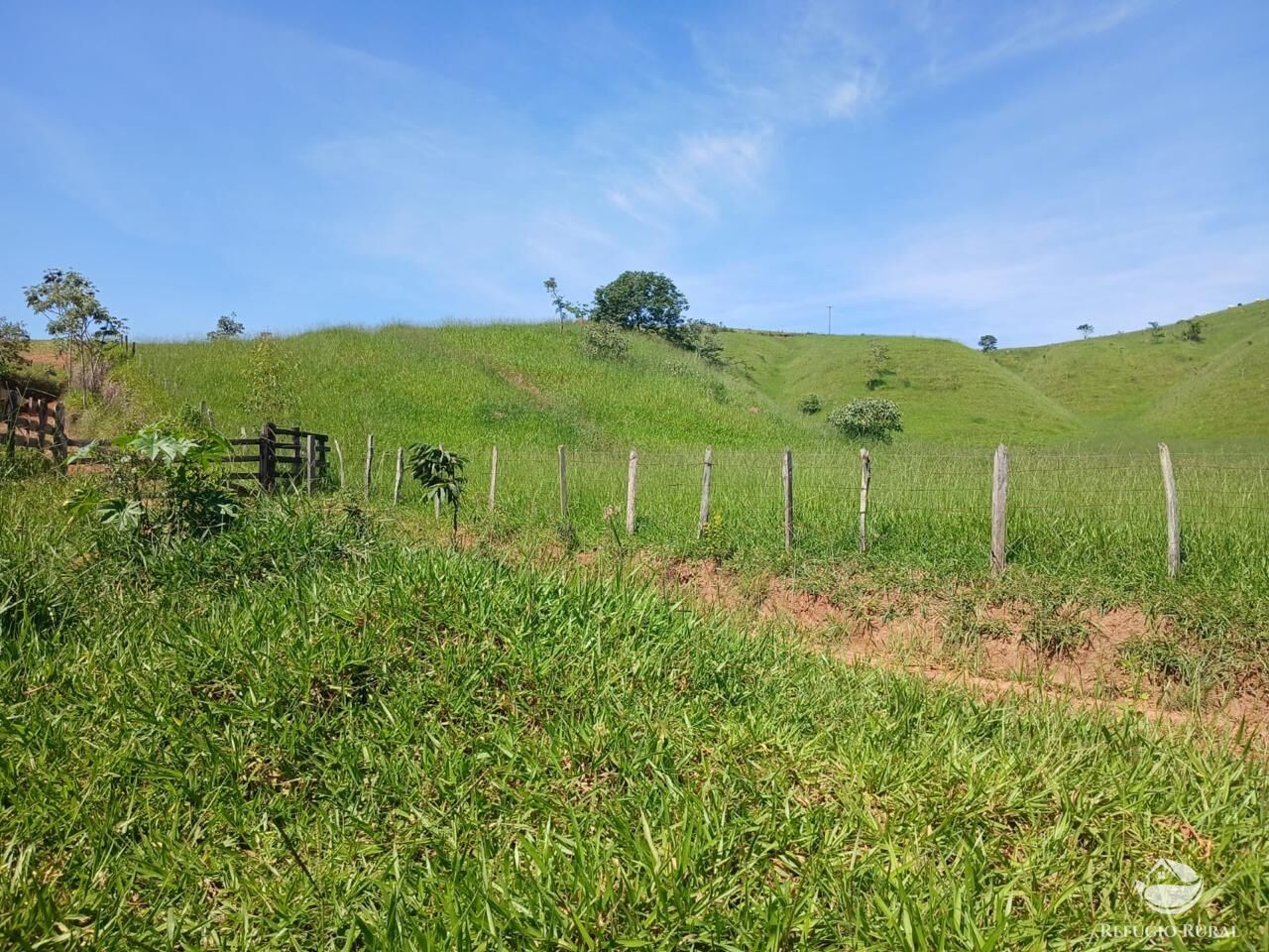 Fazenda, 435 hectares - Foto 22