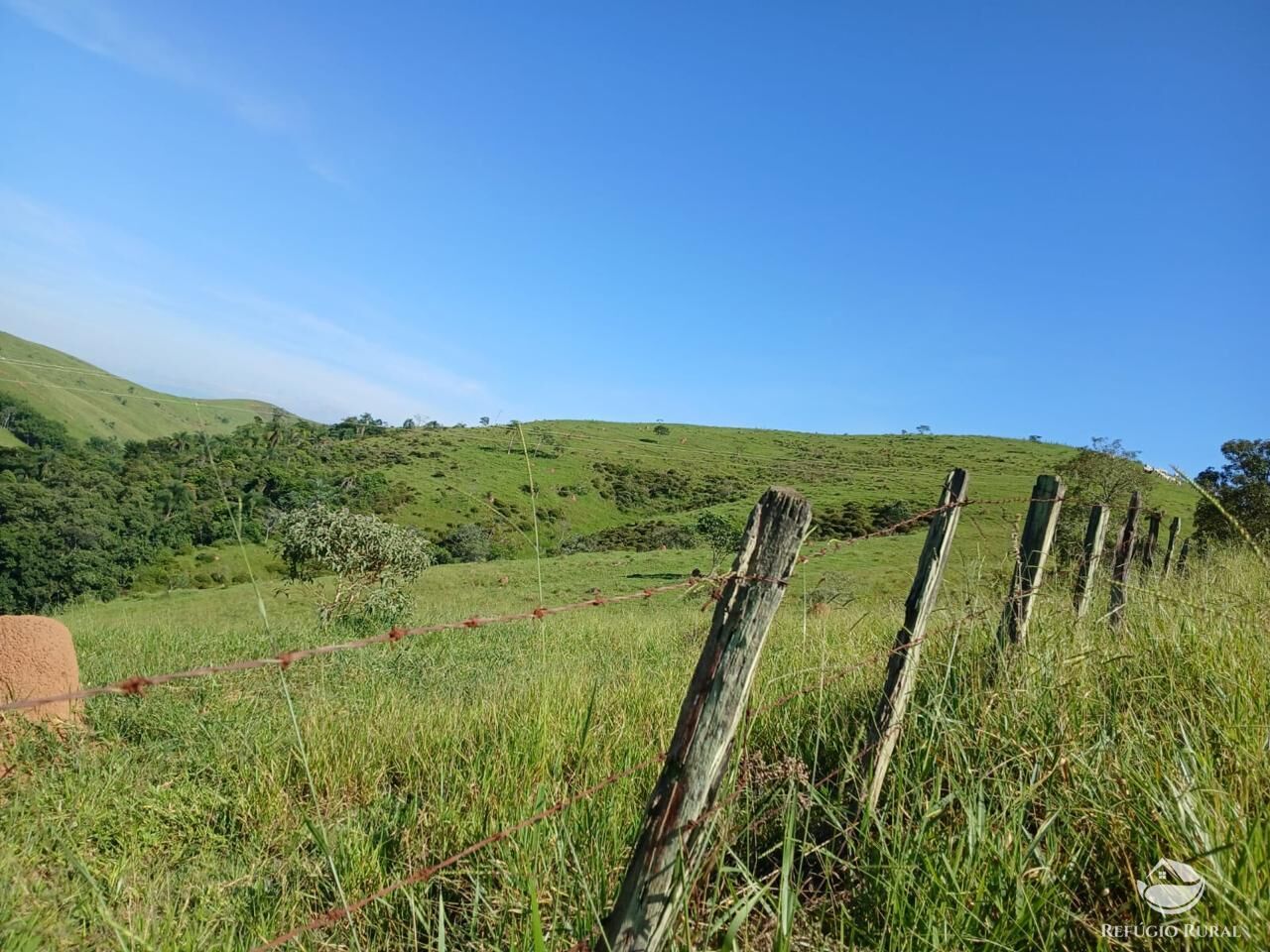 Fazenda, 435 hectares - Foto 15