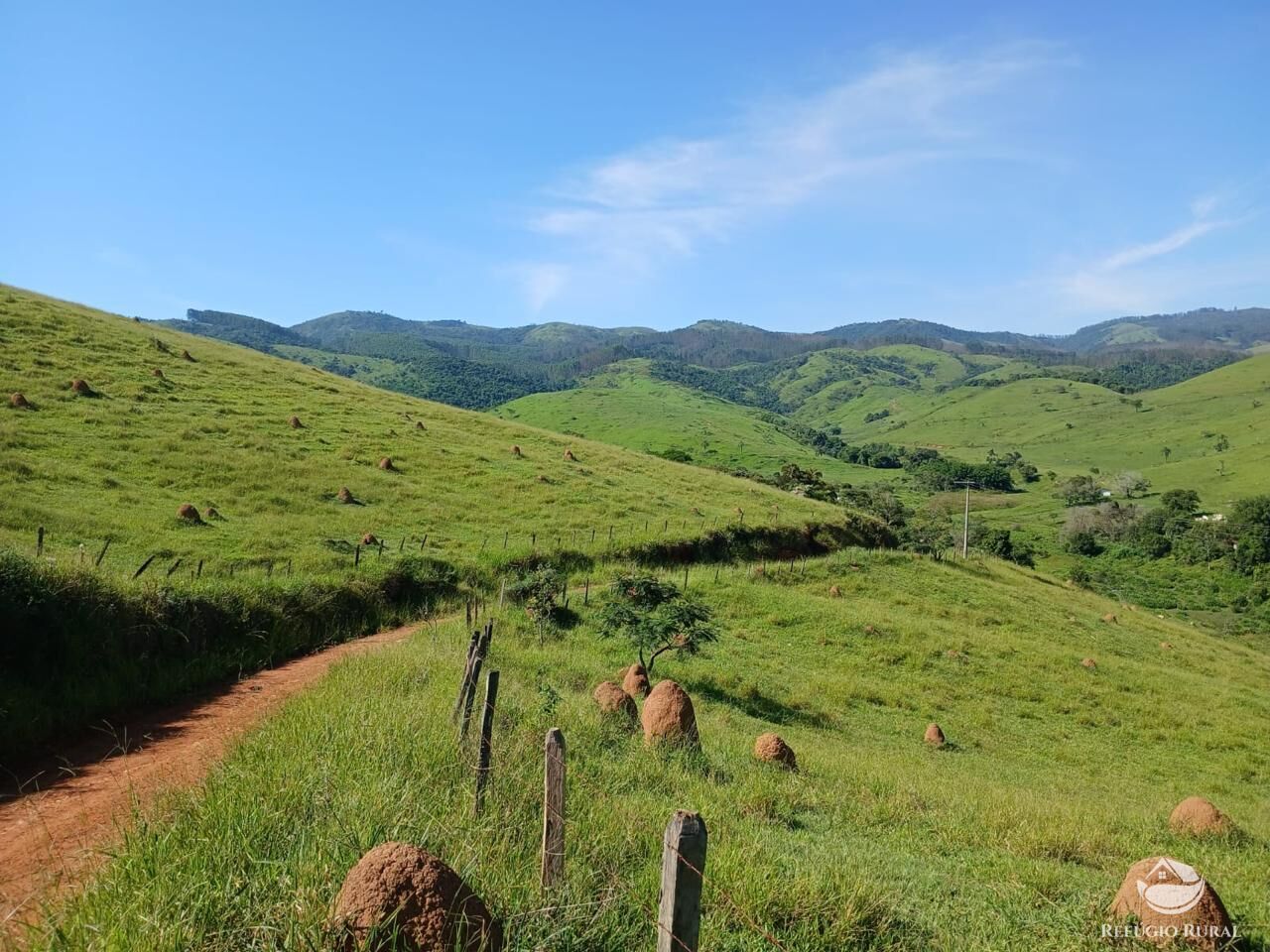 Fazenda, 435 hectares - Foto 5