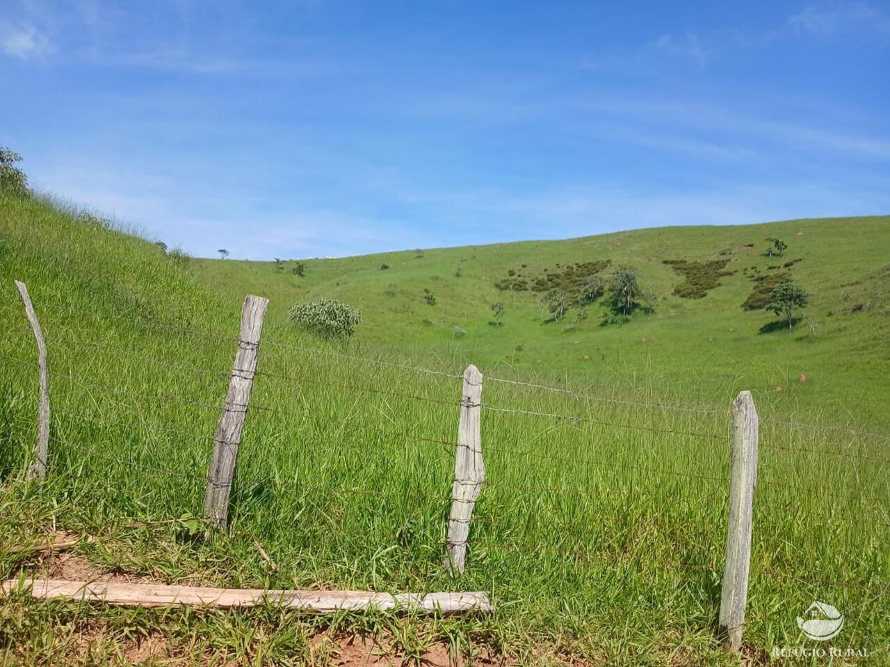 Fazenda, 435 hectares - Foto 26