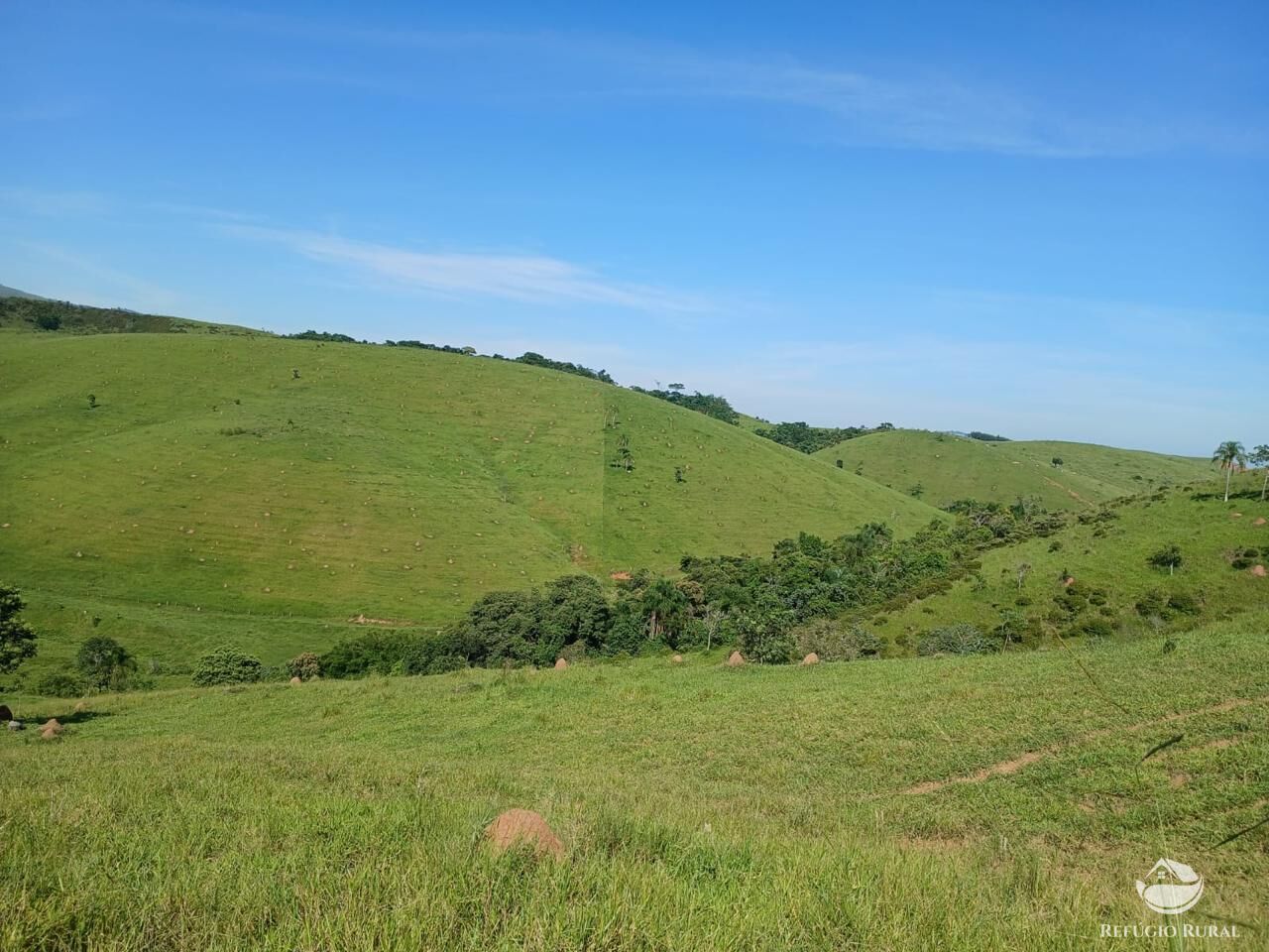 Fazenda, 435 hectares - Foto 6