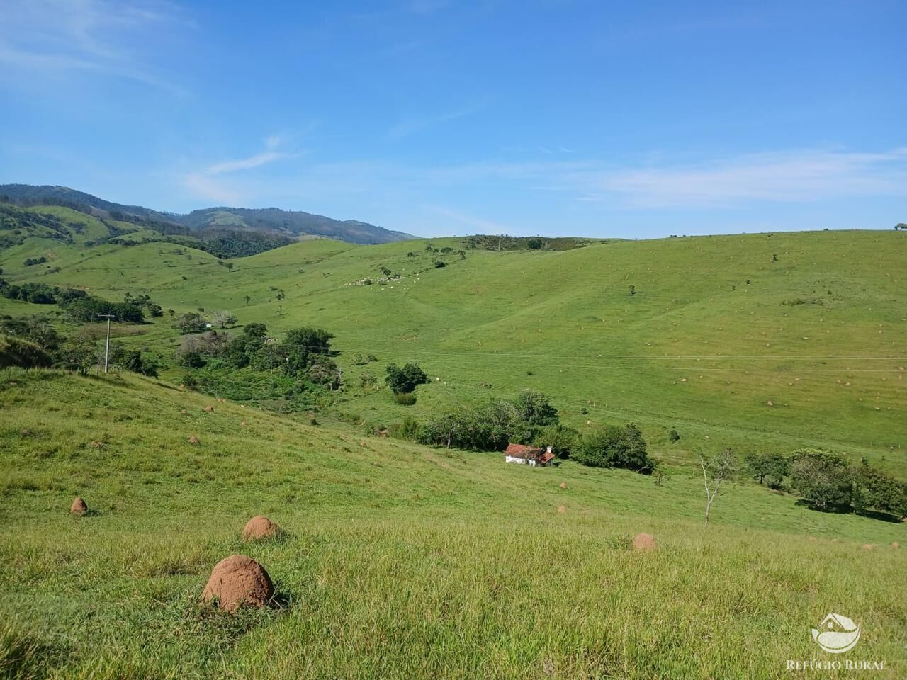 Fazenda, 435 hectares - Foto 4