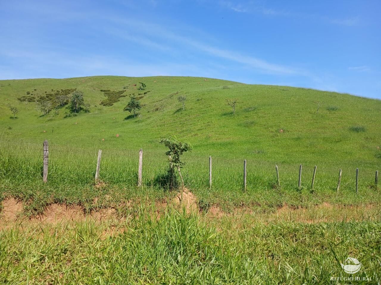 Fazenda, 435 hectares - Foto 21