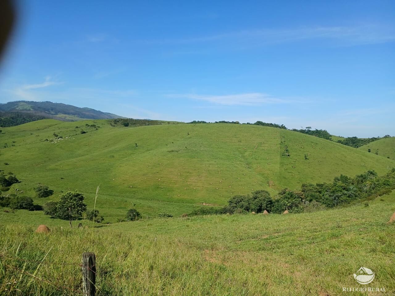 Fazenda, 435 hectares - Foto 29