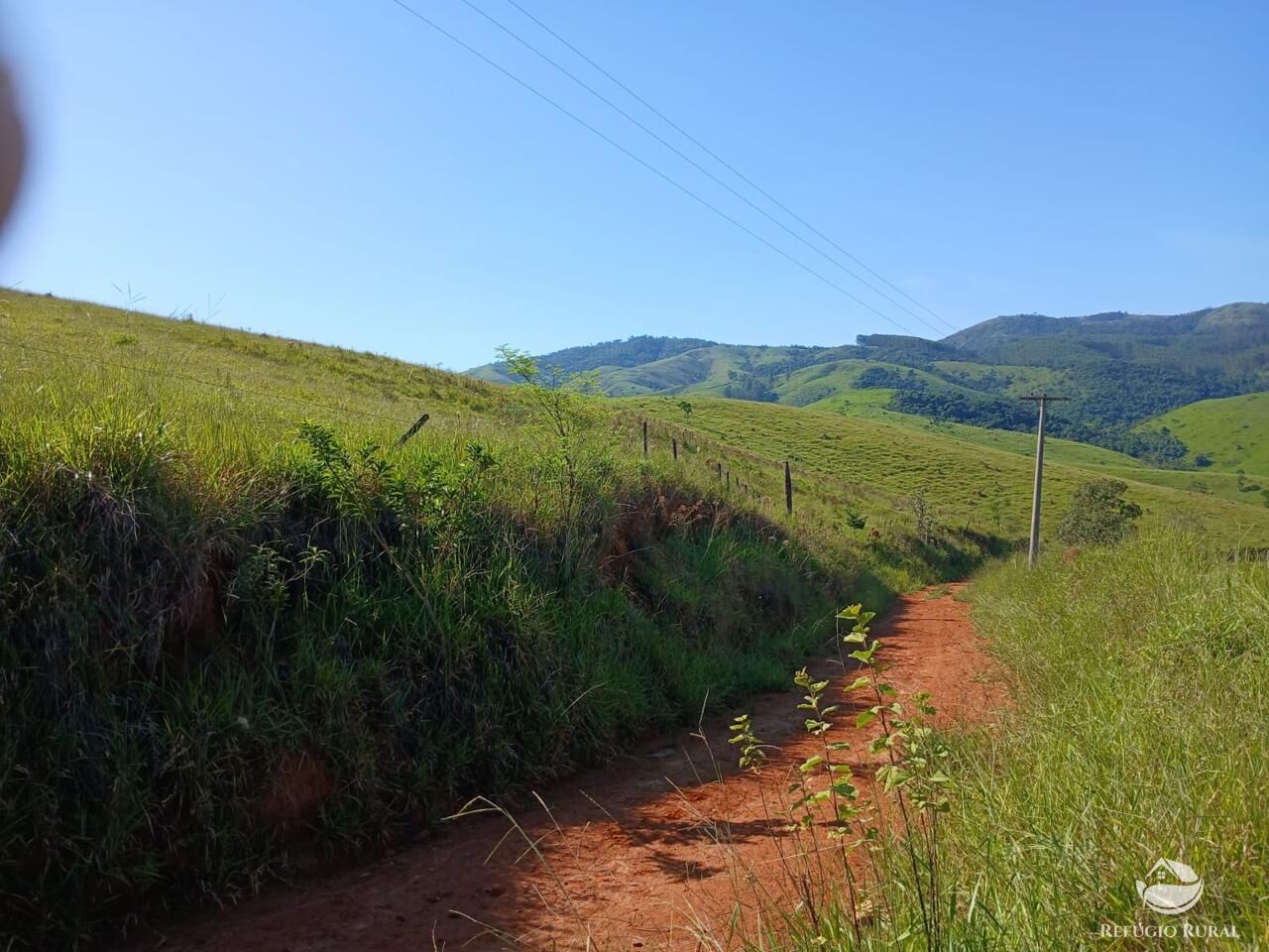 Fazenda, 435 hectares - Foto 17