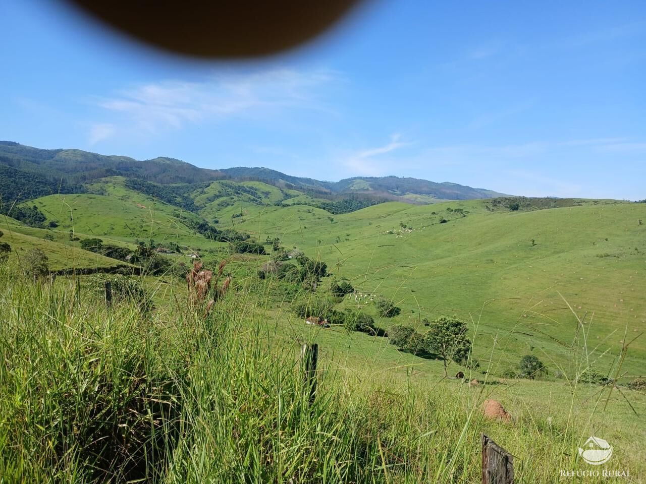Fazenda, 435 hectares - Foto 20
