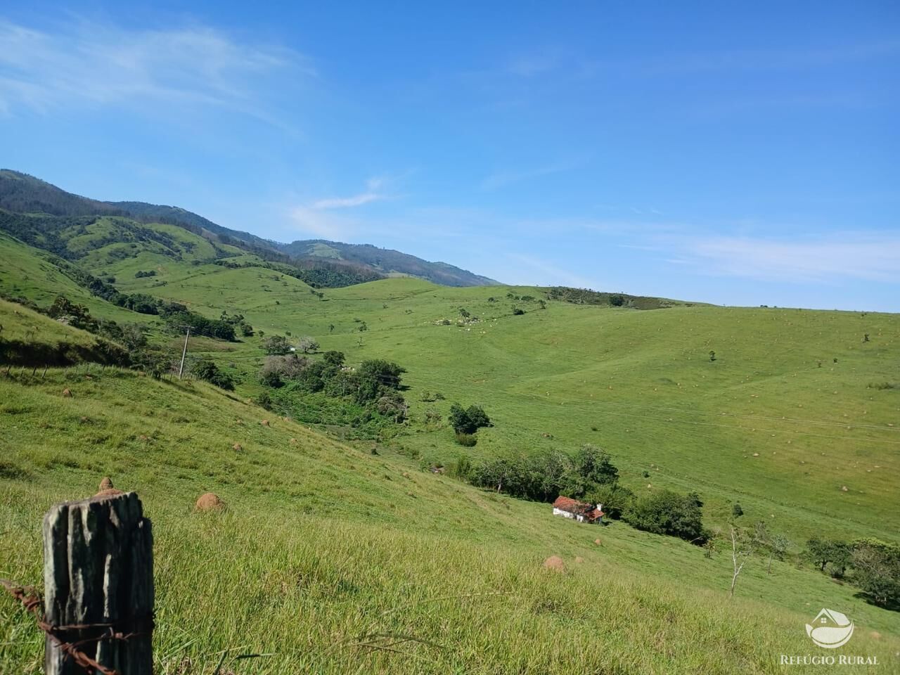Fazenda, 435 hectares - Foto 27