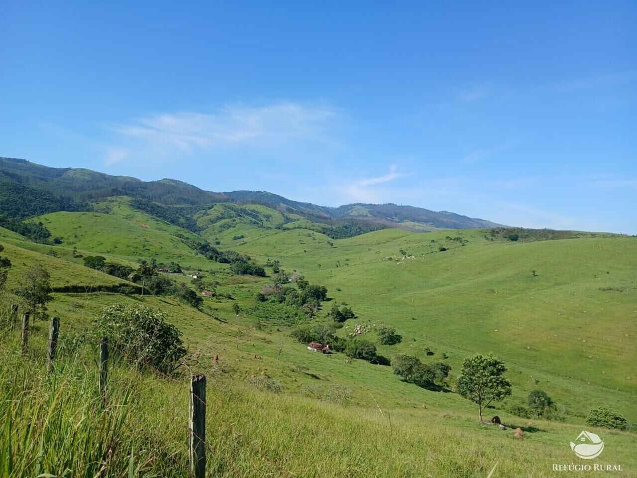 Fazenda, 435 hectares - Foto 16