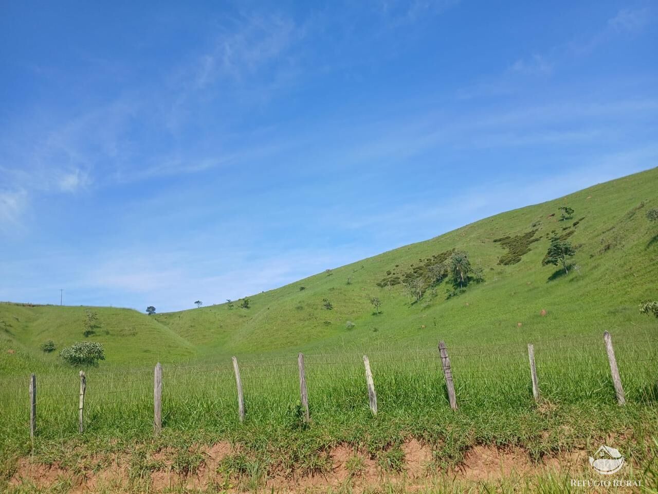 Fazenda, 435 hectares - Foto 28