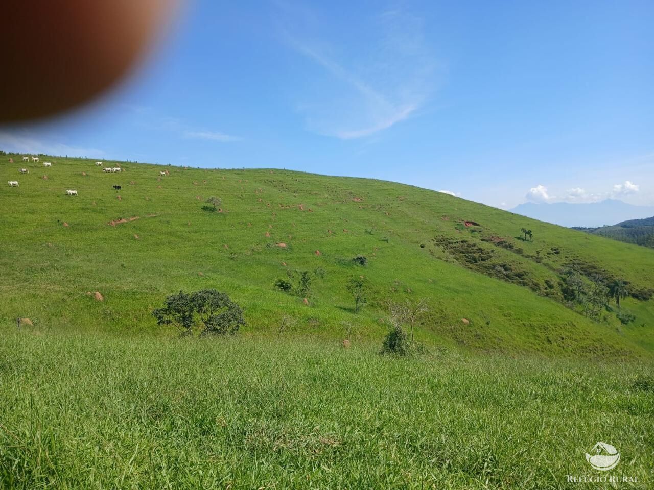 Fazenda, 435 hectares - Foto 11