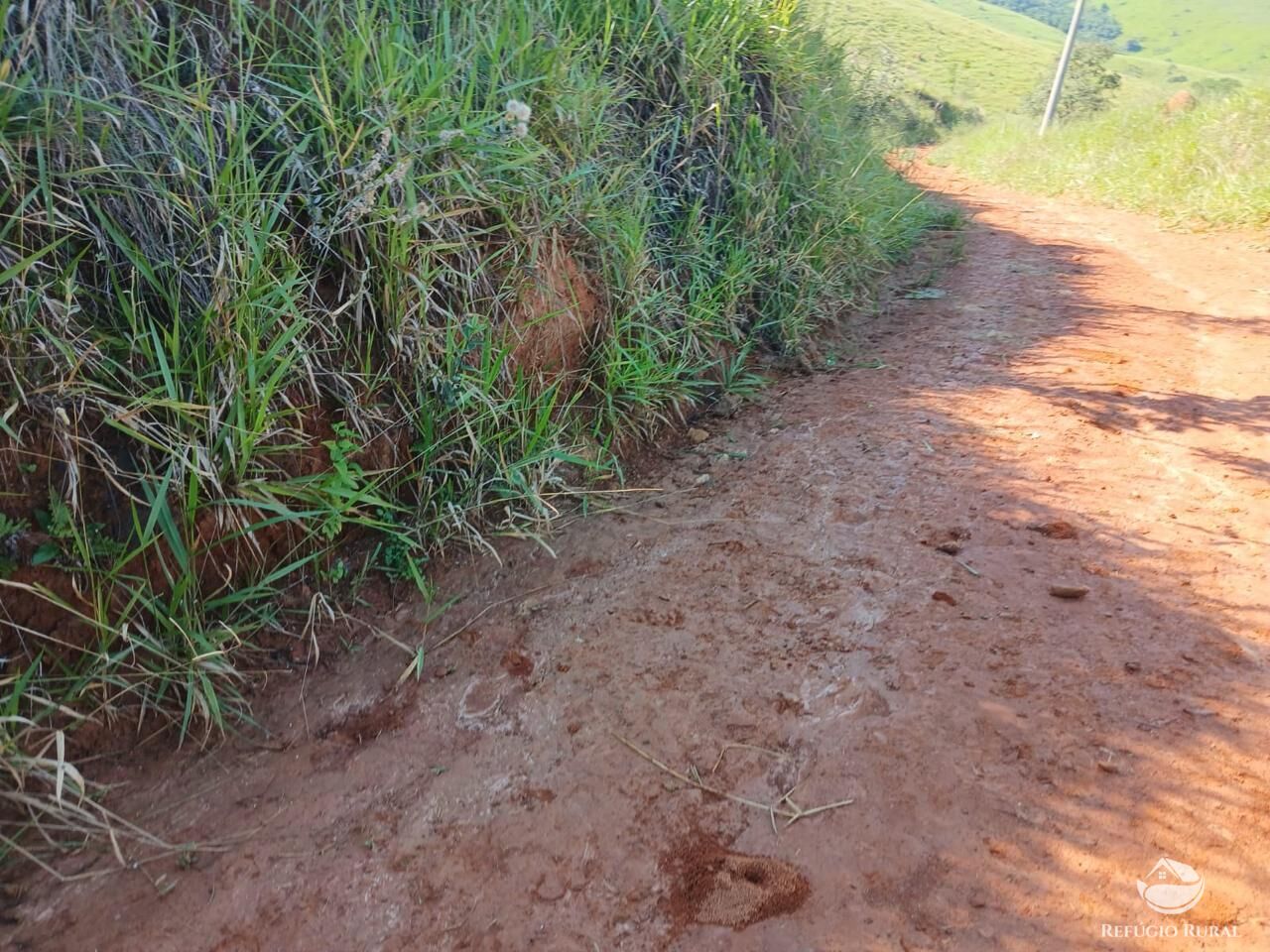 Fazenda, 435 hectares - Foto 14