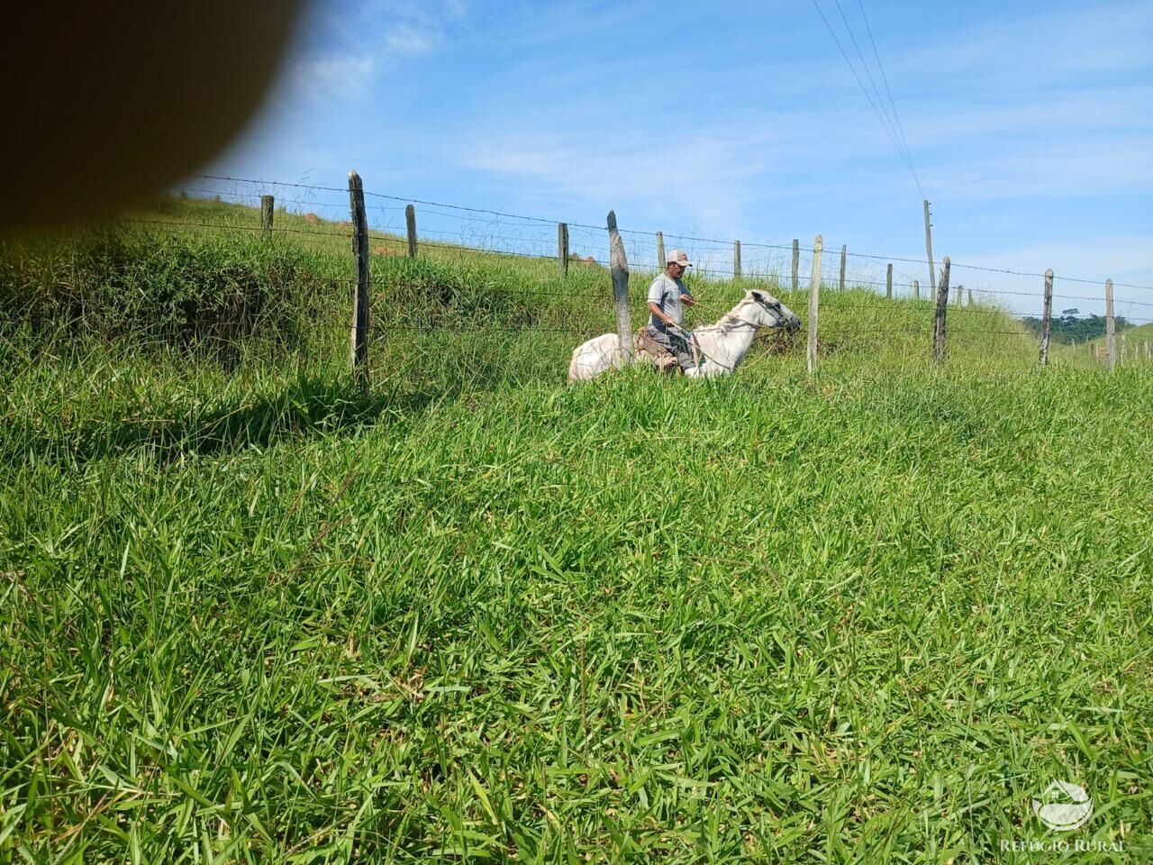 Fazenda, 435 hectares - Foto 10
