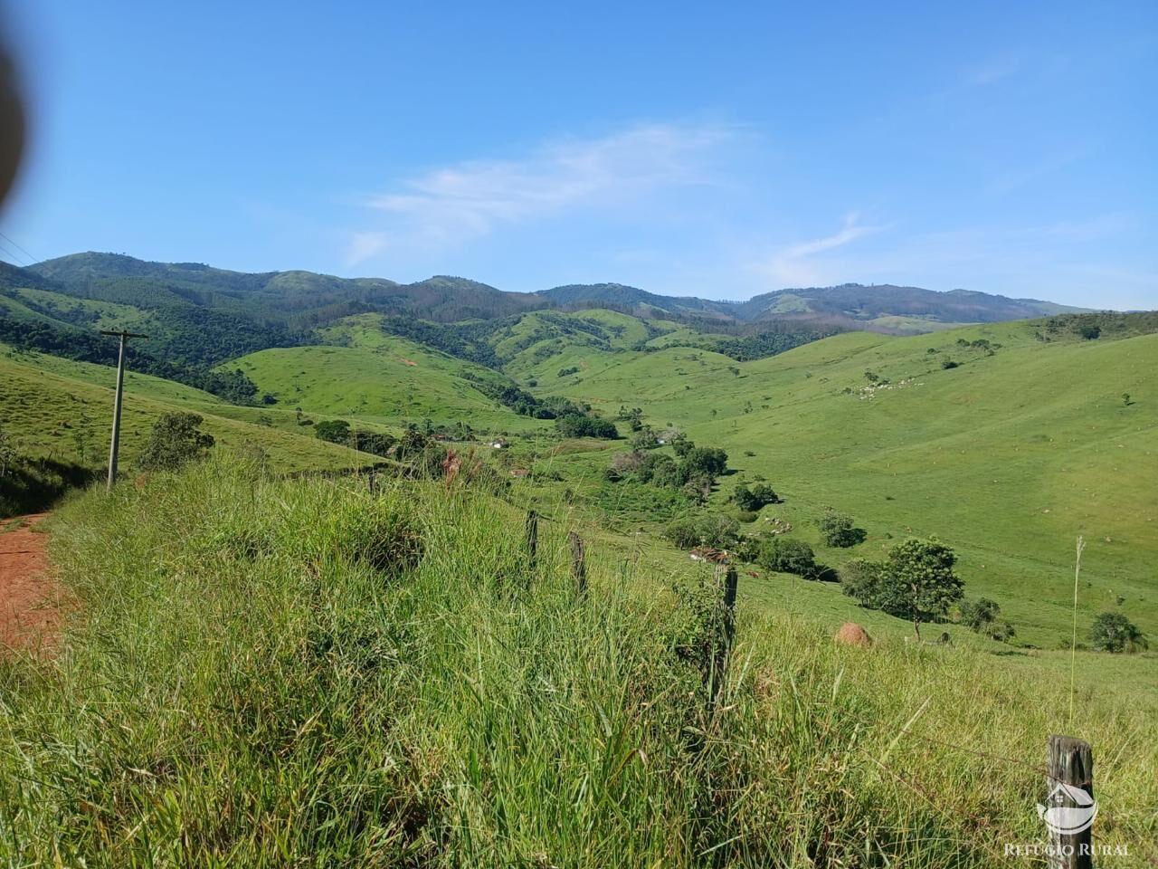 Fazenda, 435 hectares - Foto 7
