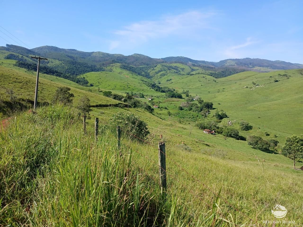 Fazenda, 435 hectares - Foto 32