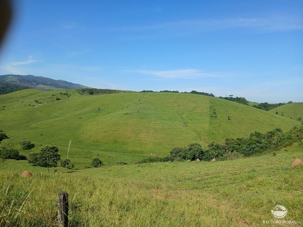 Fazenda, 435 hectares - Foto 18