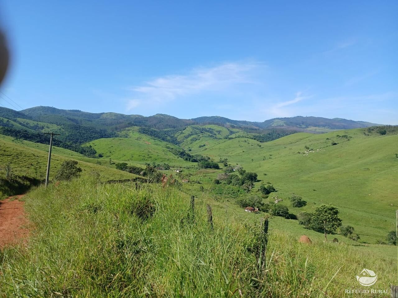 Fazenda, 435 hectares - Foto 24