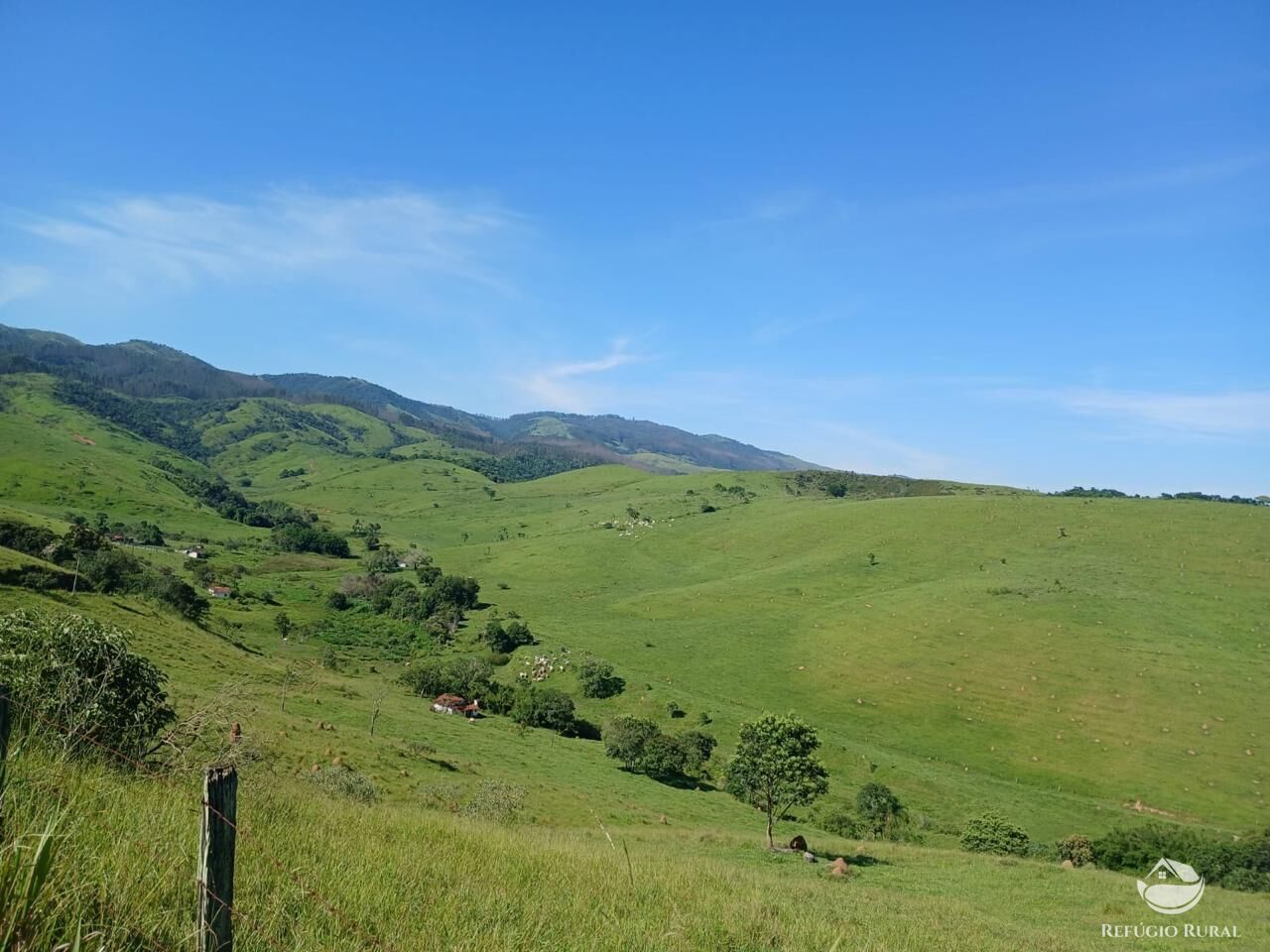 Fazenda, 435 hectares - Foto 30