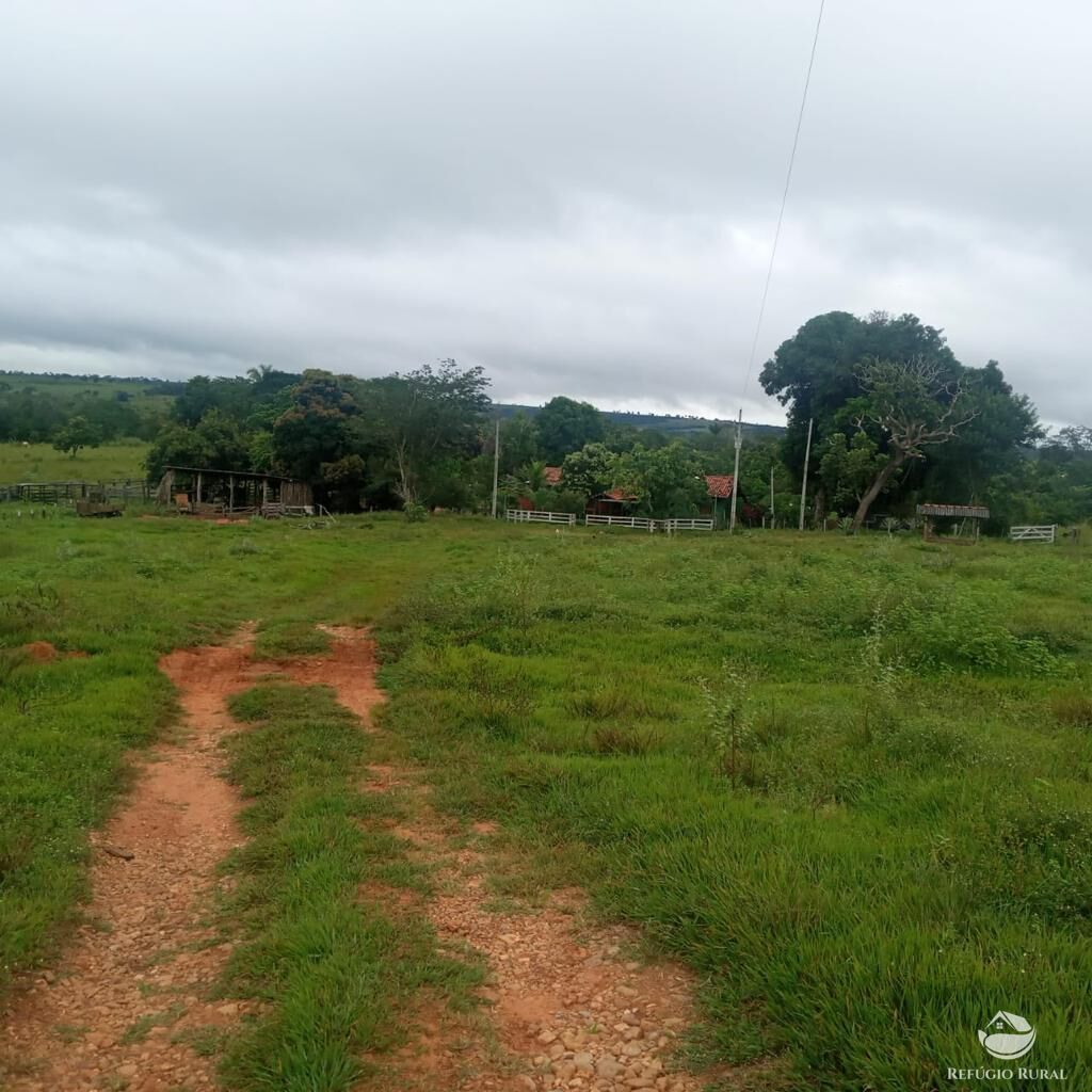 Fazenda à venda com 2 quartos, 20000000m² - Foto 14