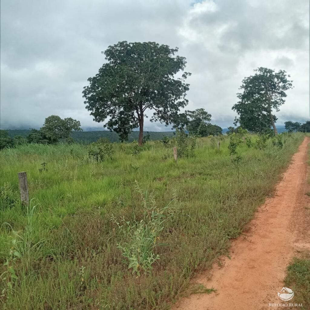 Fazenda à venda com 2 quartos, 20000000m² - Foto 8