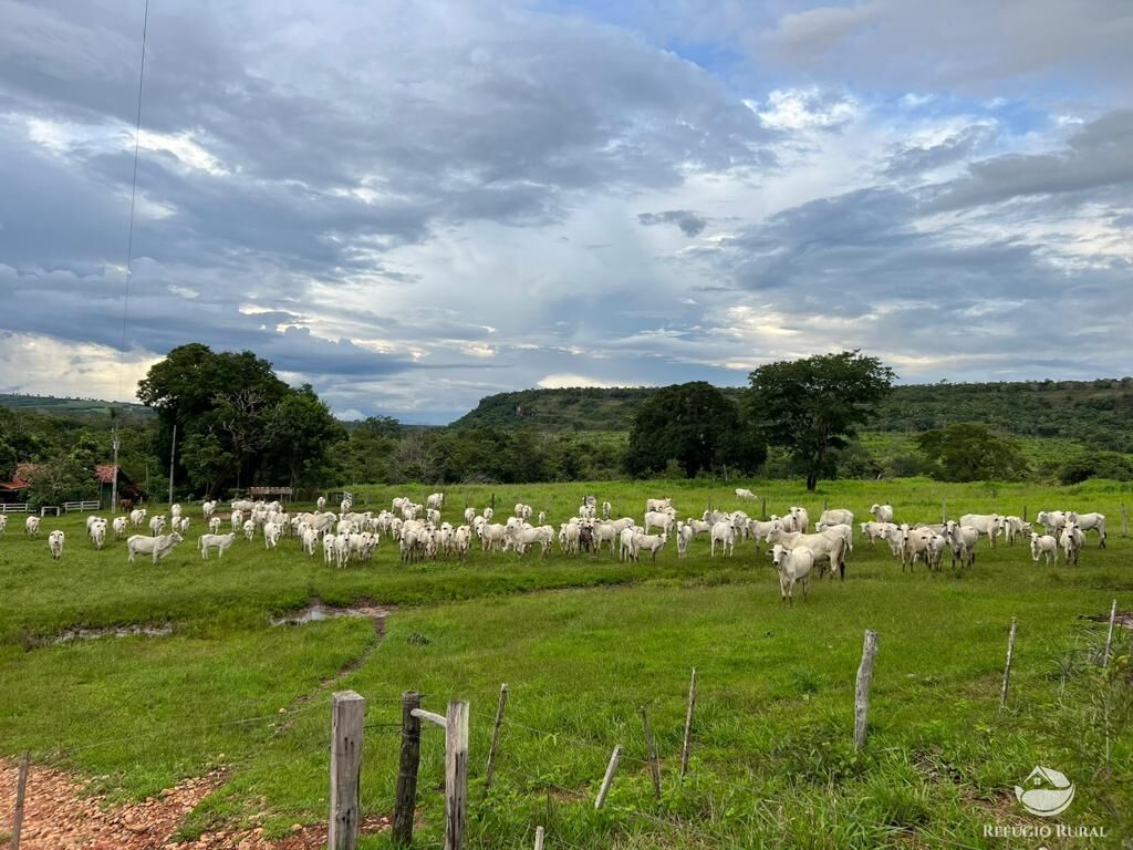 Fazenda à venda com 2 quartos, 20000000m² - Foto 5