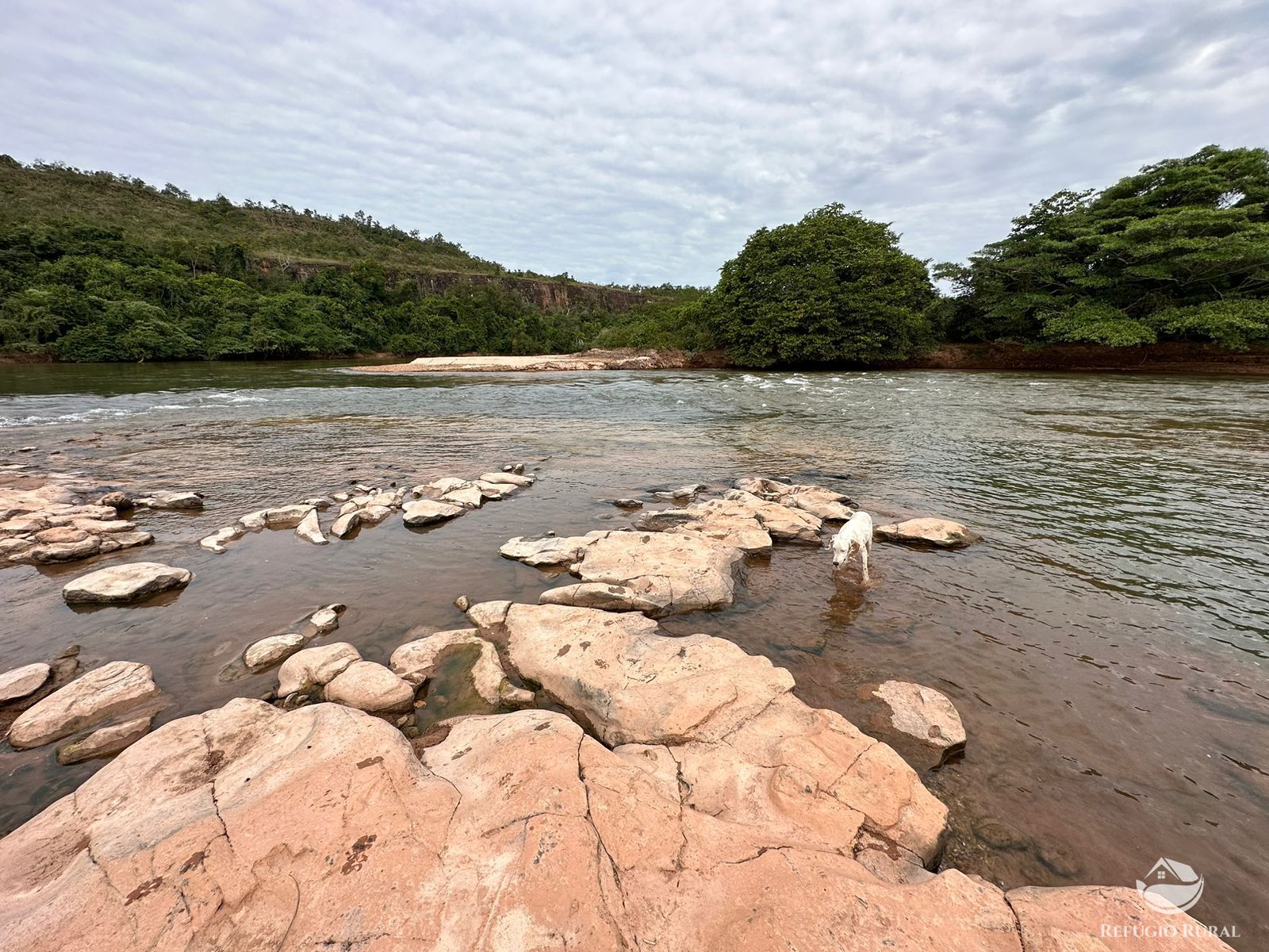 Fazenda à venda com 2 quartos, 20000000m² - Foto 7