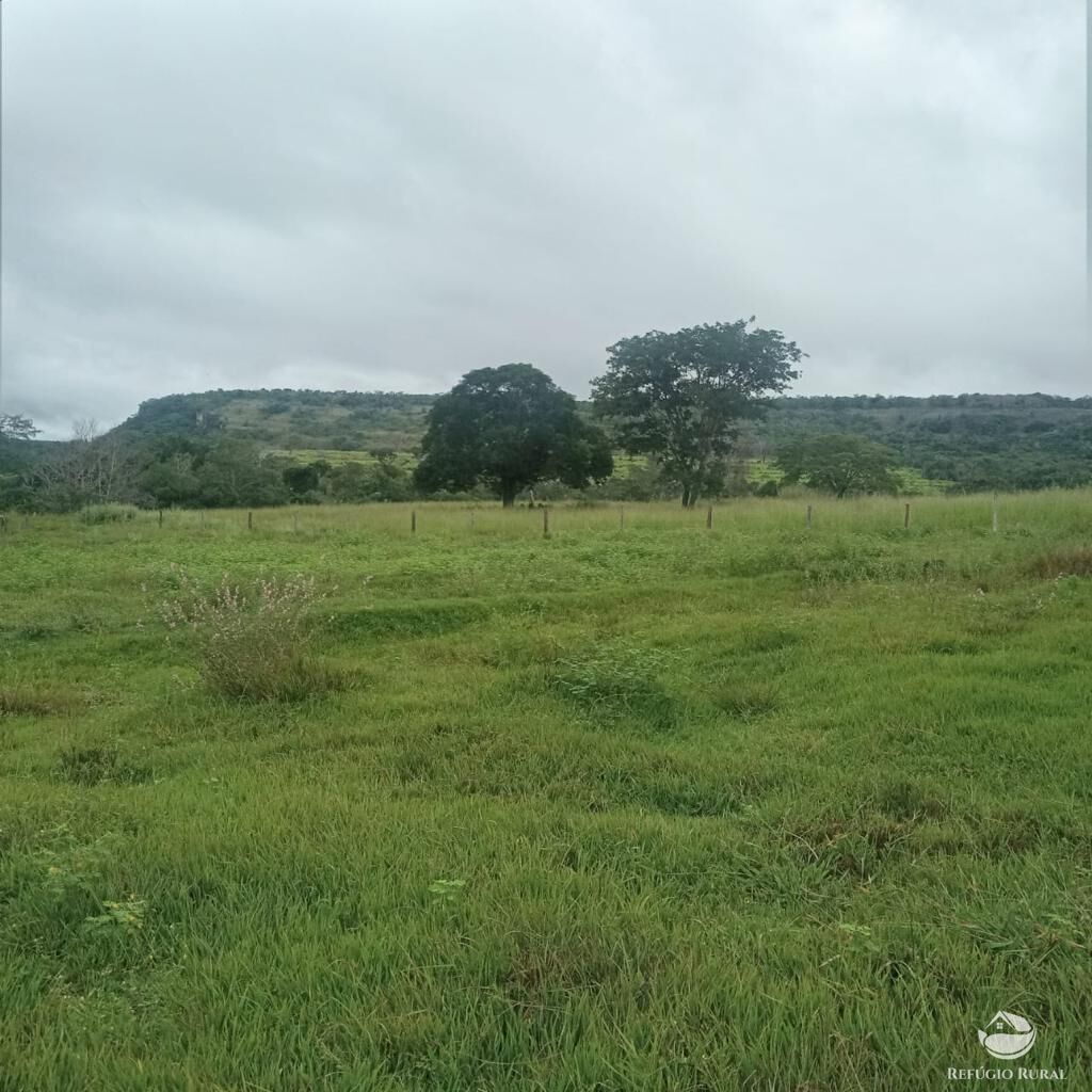 Fazenda à venda com 2 quartos, 20000000m² - Foto 11