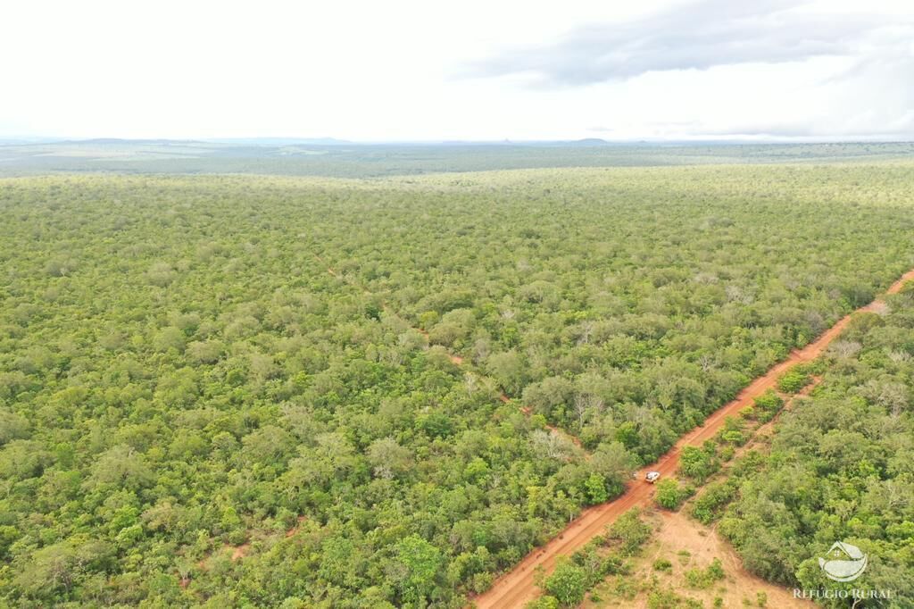 Fazenda à venda com 2 quartos, 20000000m² - Foto 6