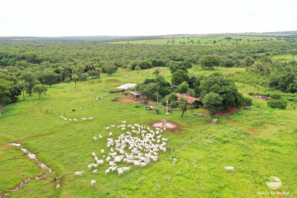 Fazenda à venda com 2 quartos, 20000000m² - Foto 1