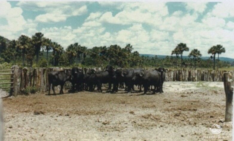 Fazenda à venda com 1 quarto, 47320000m² - Foto 8