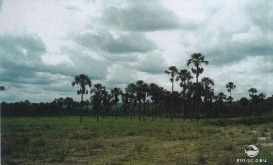 Fazenda à venda com 1 quarto, 47320000m² - Foto 5