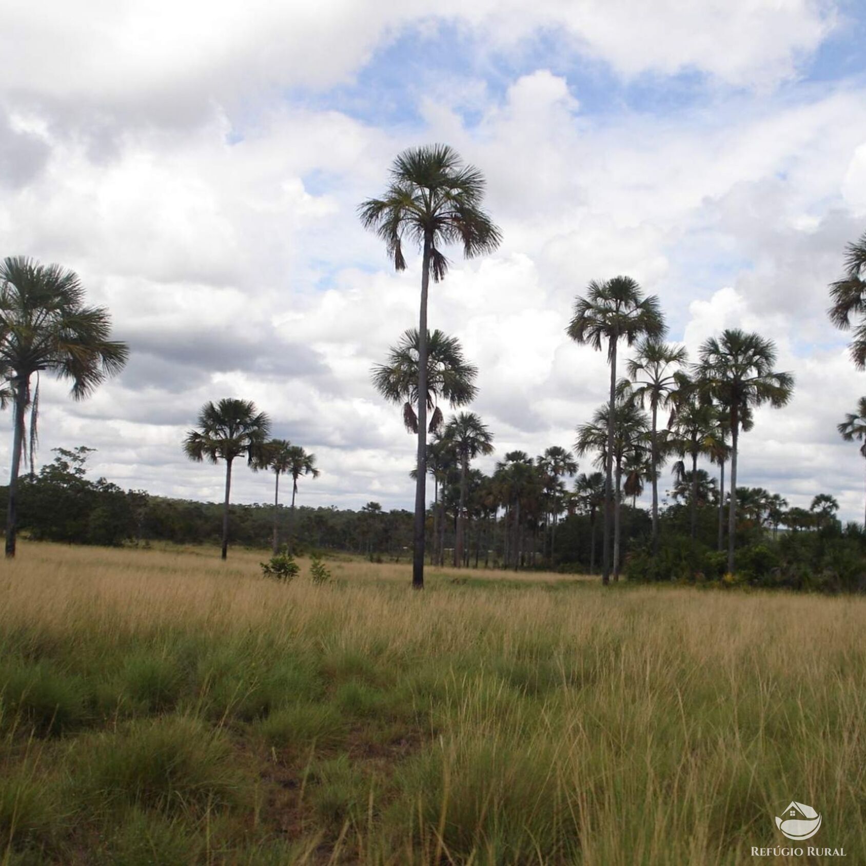 Fazenda à venda com 1 quarto, 47320000m² - Foto 2