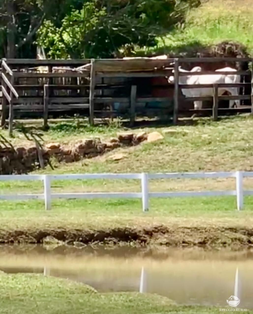 Fazenda à venda com 2 quartos, 2420000m² - Foto 11