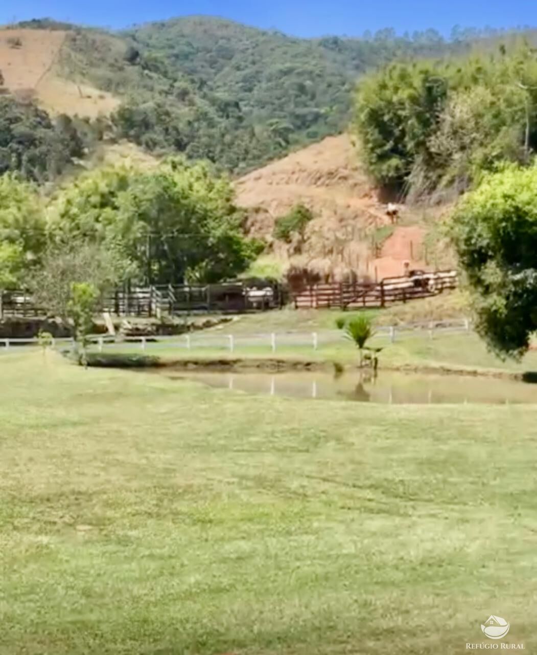 Fazenda à venda com 2 quartos, 2420000m² - Foto 10