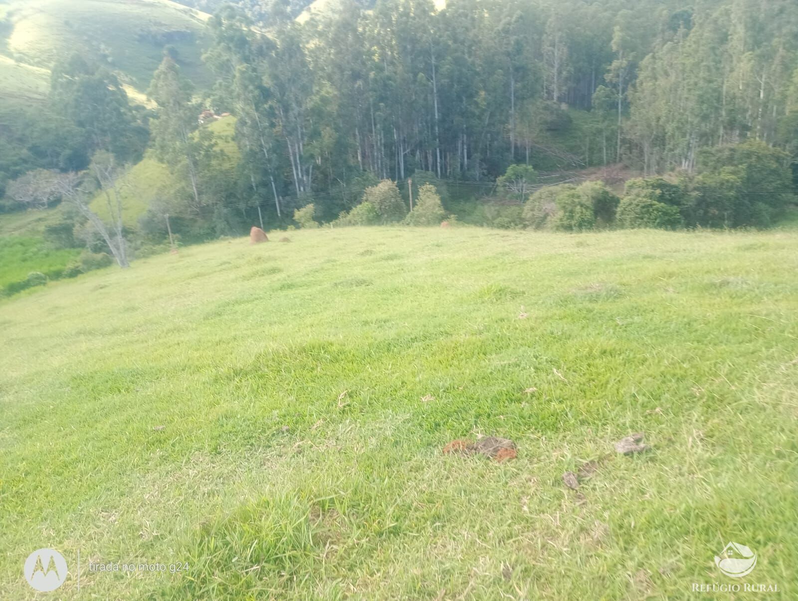 Chácara, 46 hectares - Foto 16