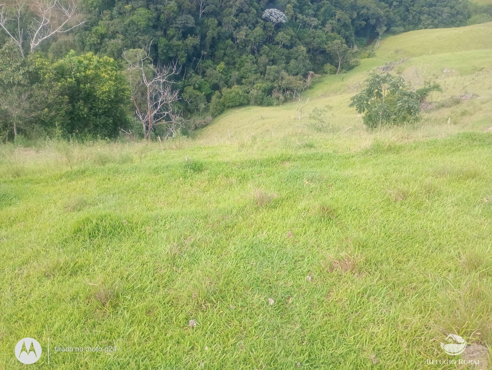 Chácara, 46 hectares - Foto 11