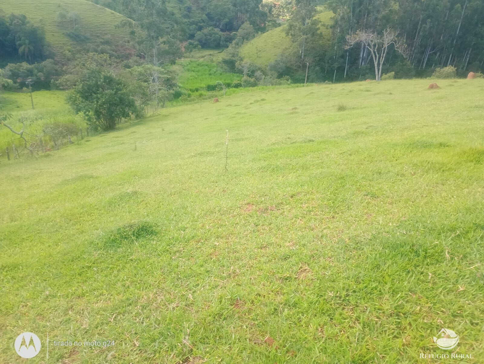 Chácara, 46 hectares - Foto 22