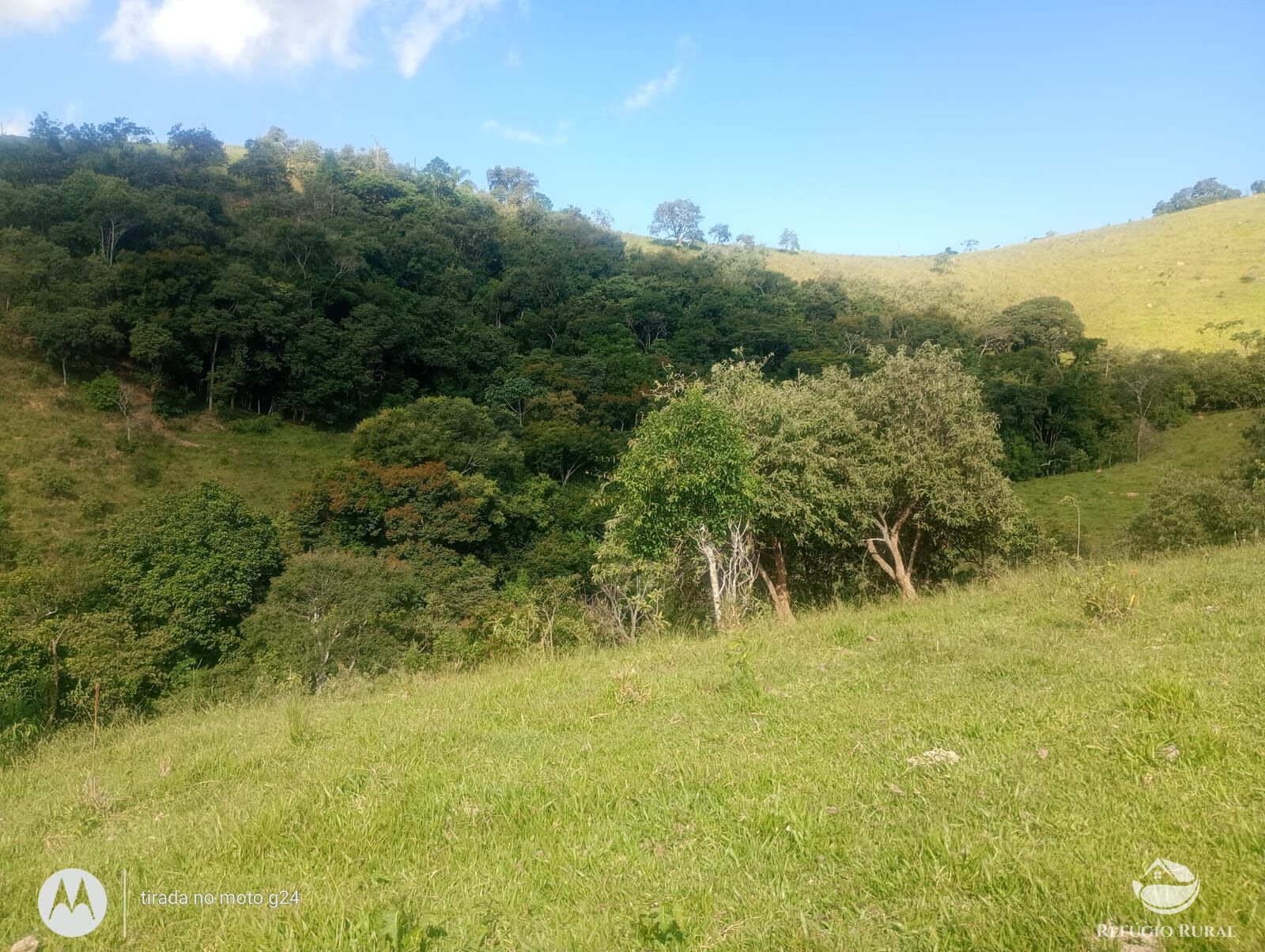 Chácara, 46 hectares - Foto 4