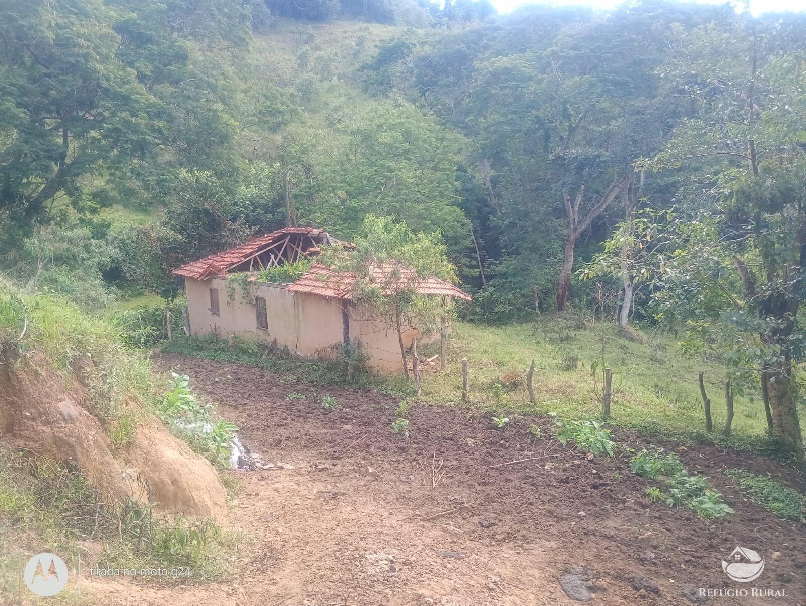 Chácara, 46 hectares - Foto 8