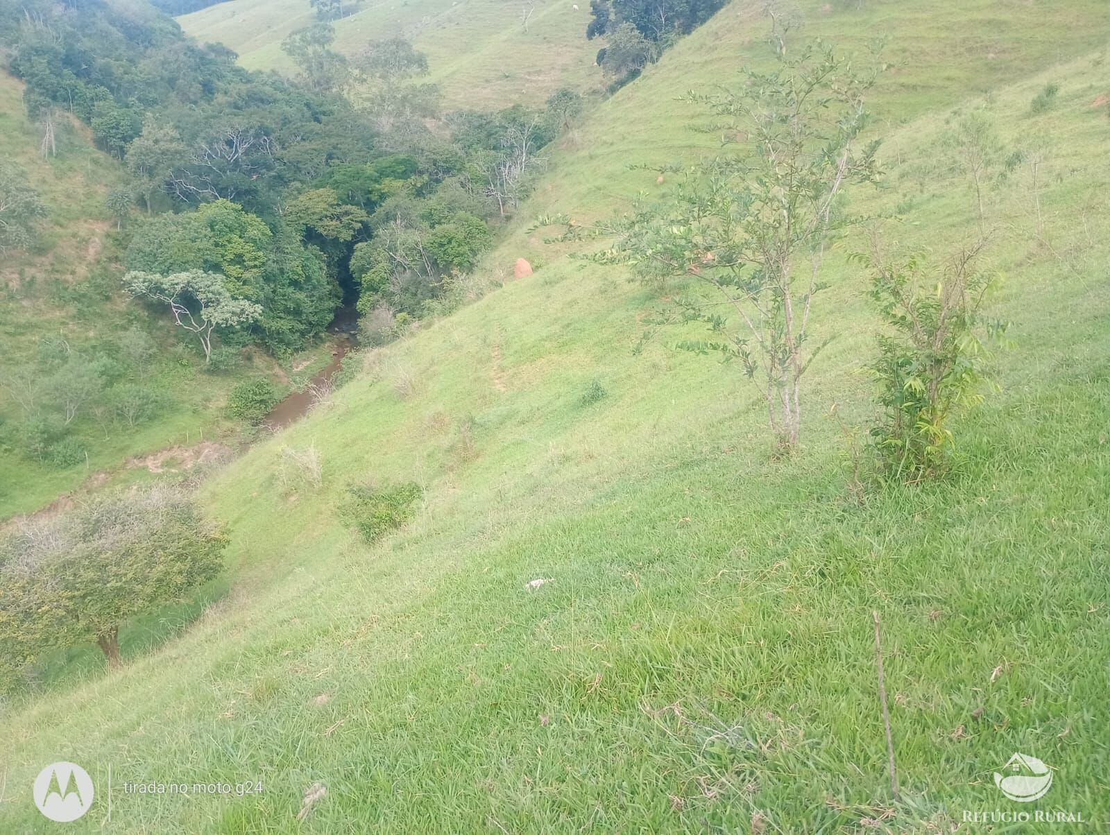 Chácara, 46 hectares - Foto 20